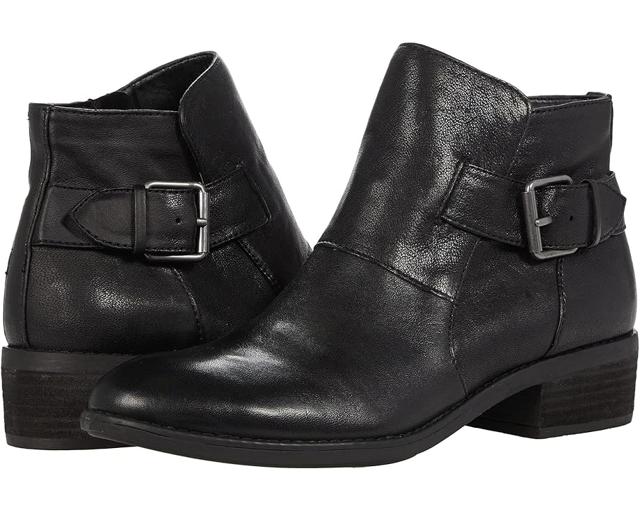 Comfortiva Cardee 3 Comfortiva Cardee